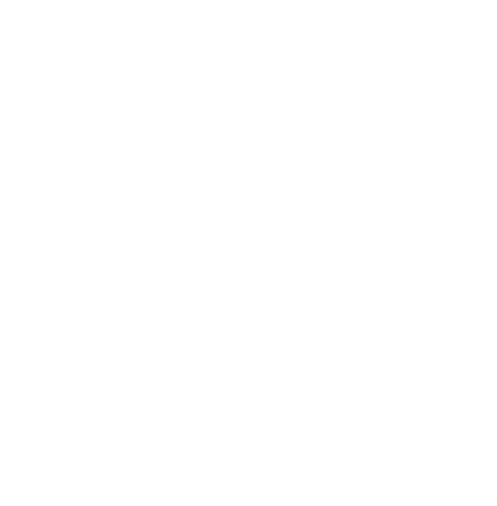 Logo-Zeiz-500w